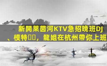 新開萊茵河KTV急招晚班DJ、模特，龍姐在杭州帶你上班